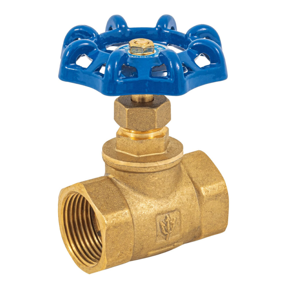 VÁLVULA DE GLOBO DE LATÓN, ROSCABLE DE 1'